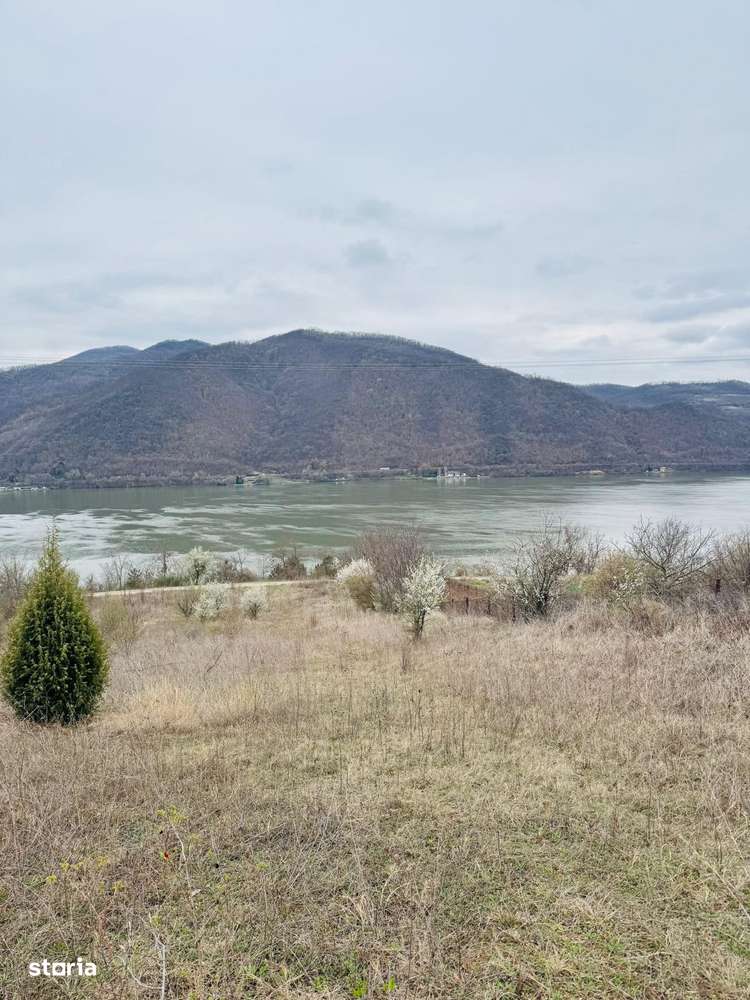 AV644 Teren intravilan, BERZASCA-DUNARE, 6042mp - Imagine principală: 5/9