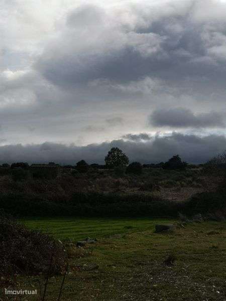 Terreno rústico Escalhão - Grande imagem: 5/6
