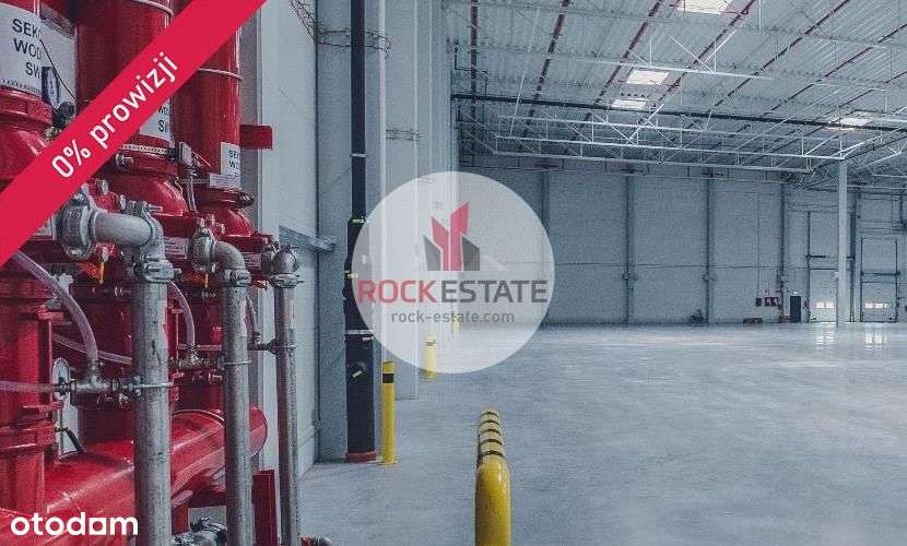 Magazyn 7500 m2 od zaraz - 0% prowizji - Pełny obrazek: 4/13