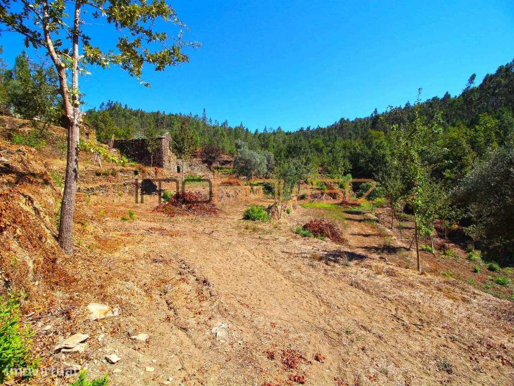 Quinta Isolada com Margem de Rio e Potencial de Eco-Retiro - Arouca-39