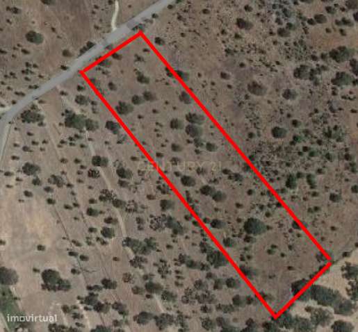 Terreno com 7015m2  courela dos Carriços - Grande imagem: 2/2
