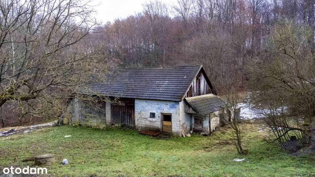 Dom do remontu na dużej działce 81ar | Stobierna-5