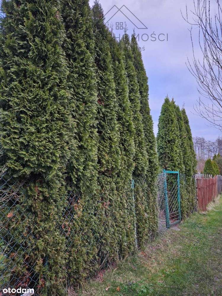 Przestronne mieszkanie z  ogrodem-11