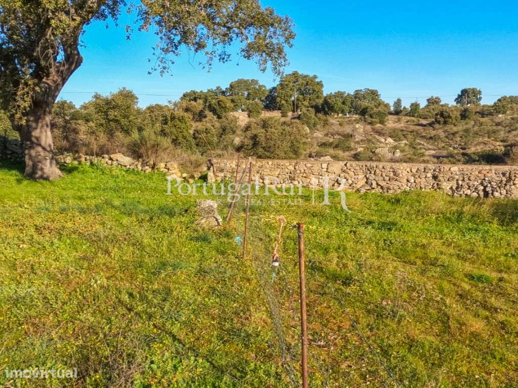 Quintinha com 1,2ha e ruína urbana em São Miguel Acha-11