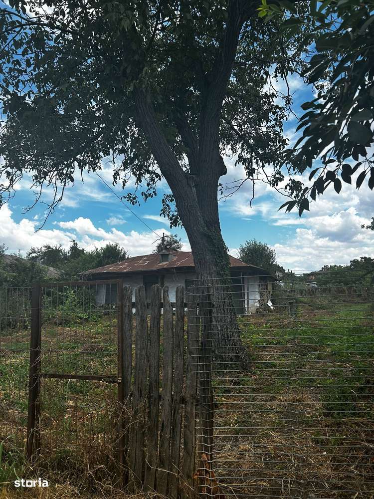 Teren de vânzare - Branesti ( Pasarea ) - Imagine principală: 5/6