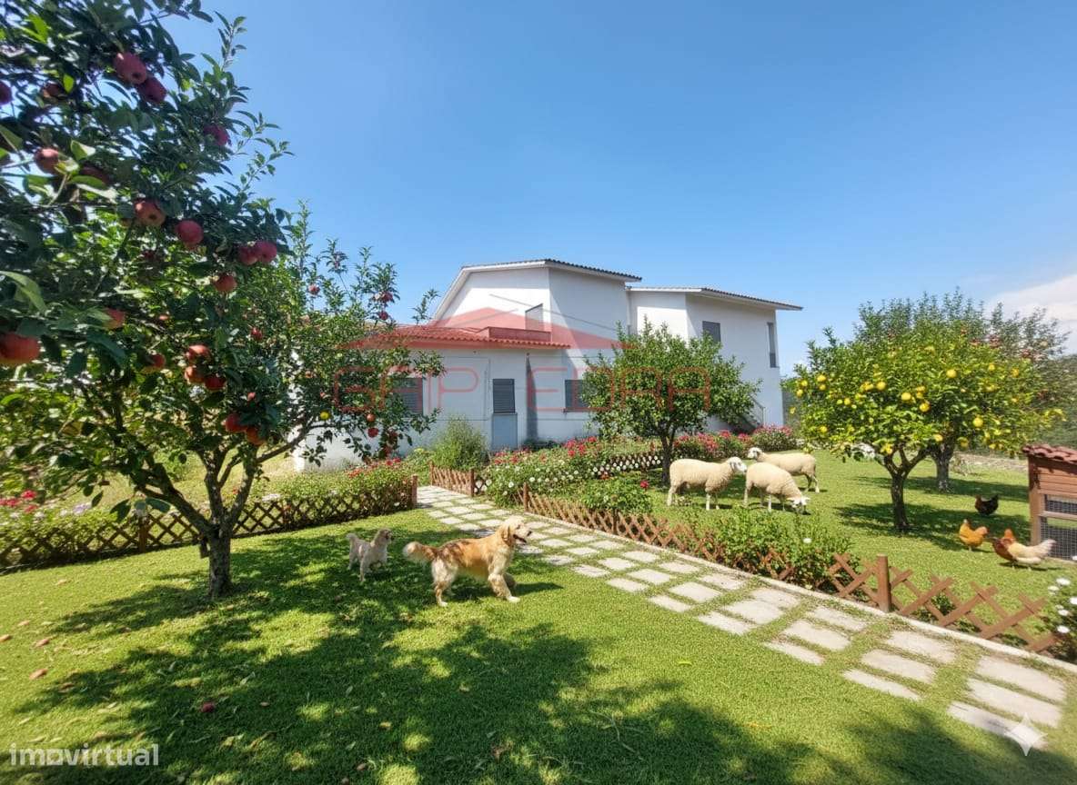 Moradia com 3 000 m2 terreno em Penacova Coimbra - Grande imagem: 3/31