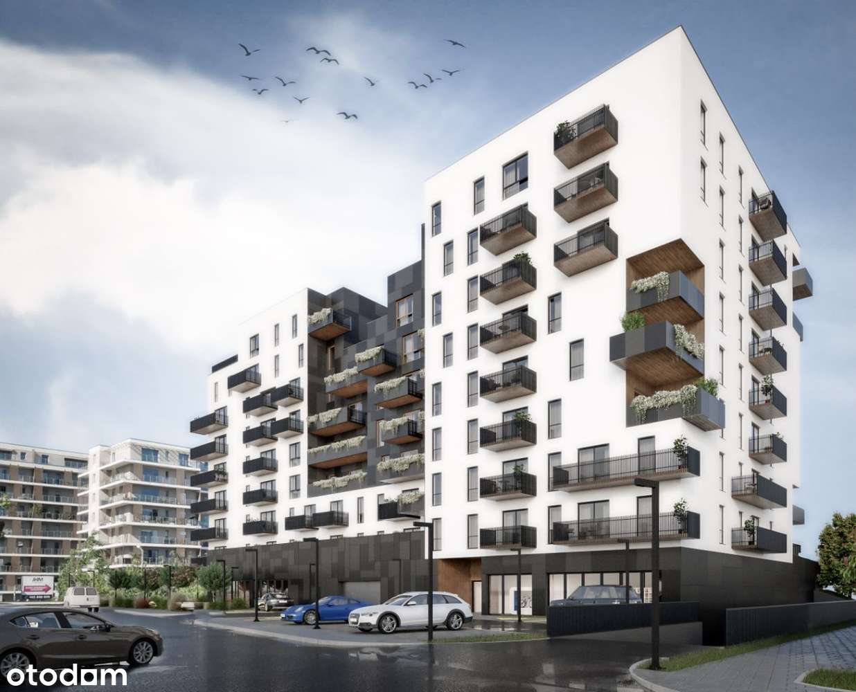 3 Stawy - Lokal użytkowy na sprzedaż-2