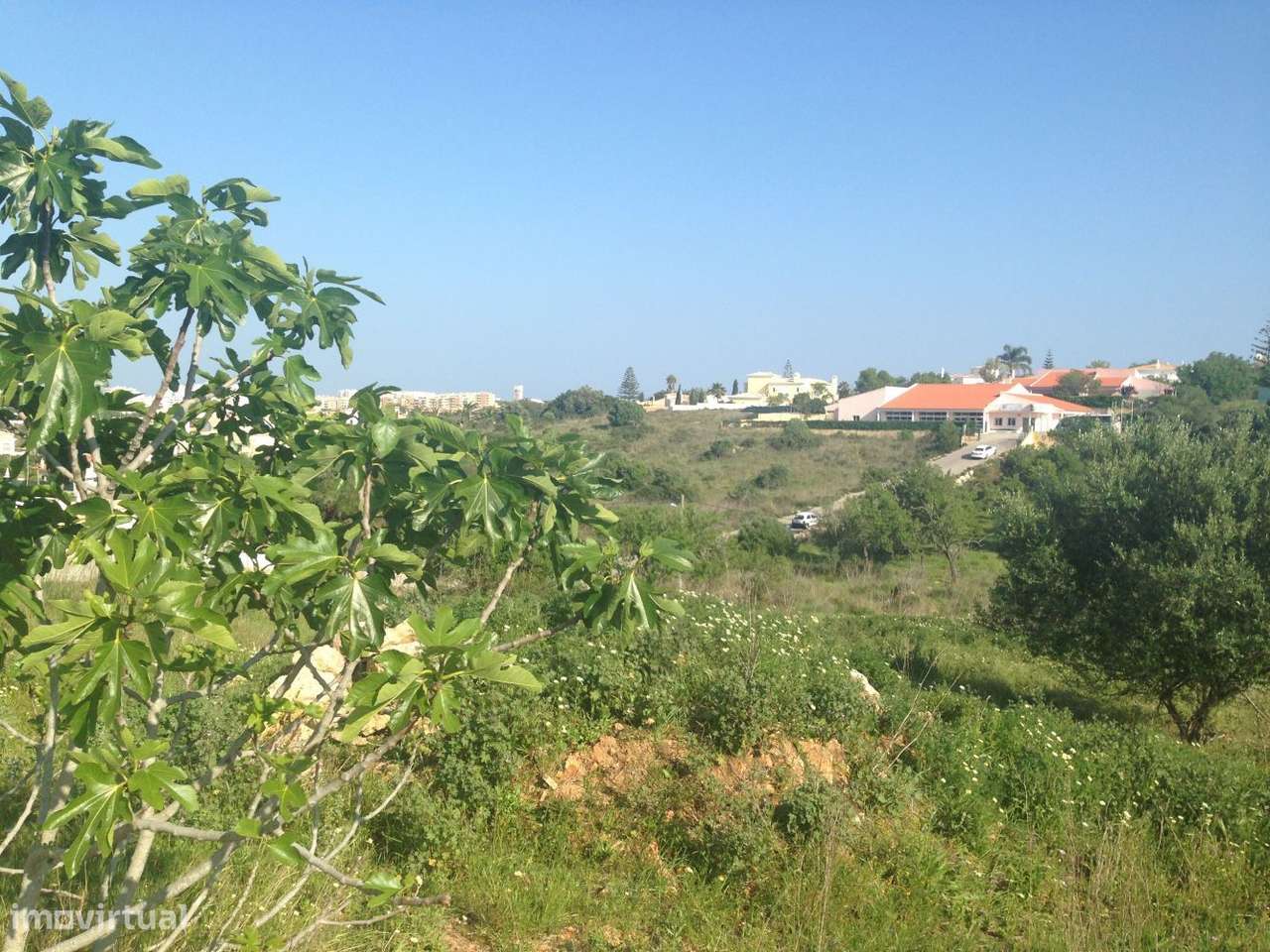 Lote Moradia - Grande imagem: 2/7