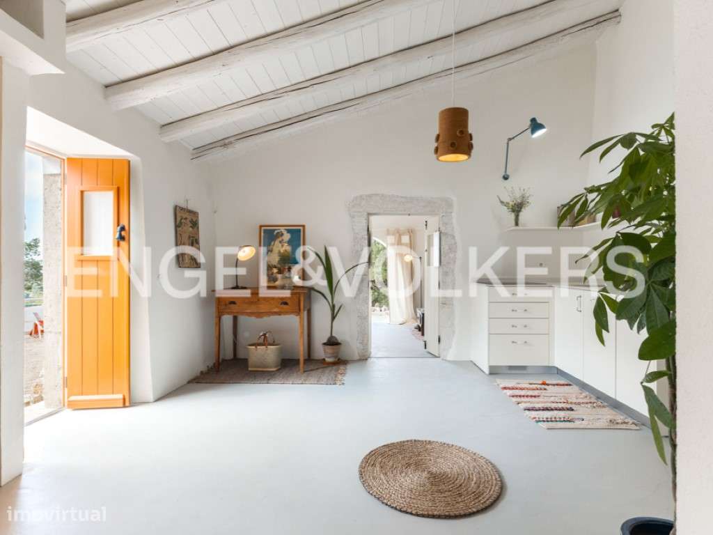 Olive Heritage-7