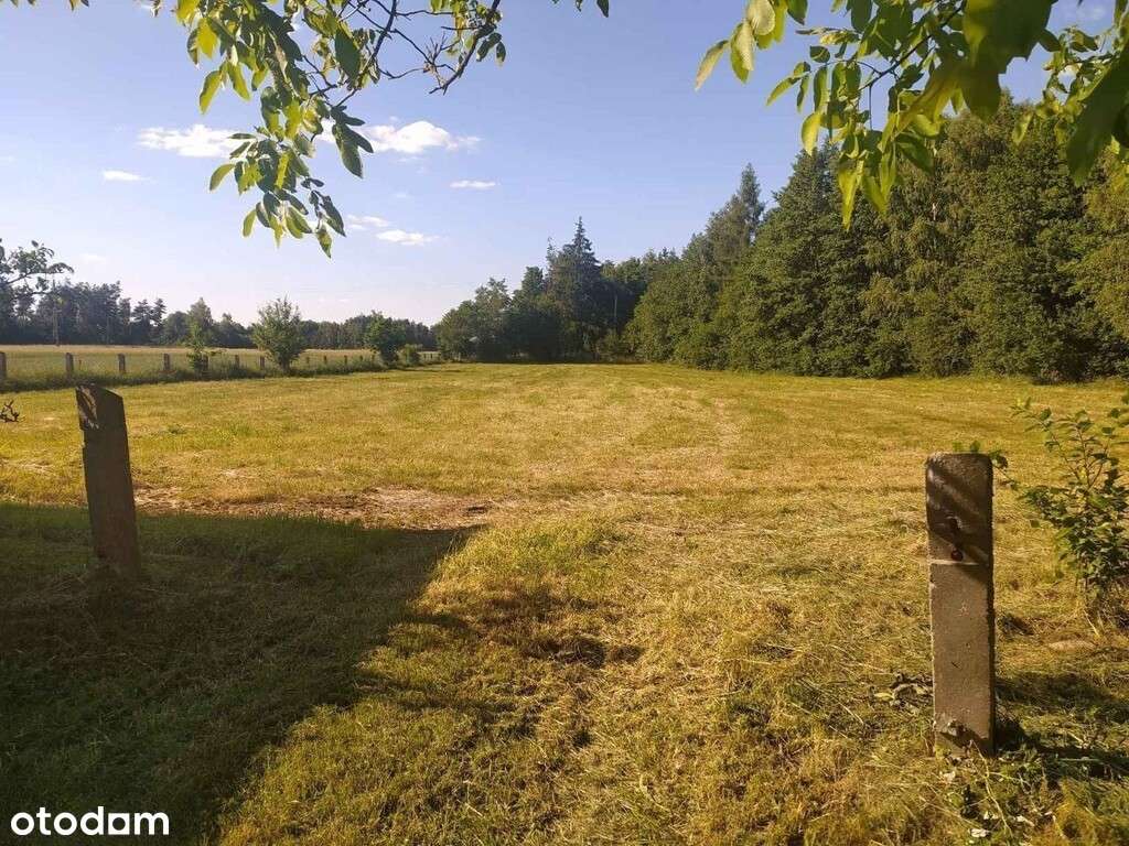 Siedlisko z domem i budynkami, działka 6373 m² - Pełny obrazek: 5/13