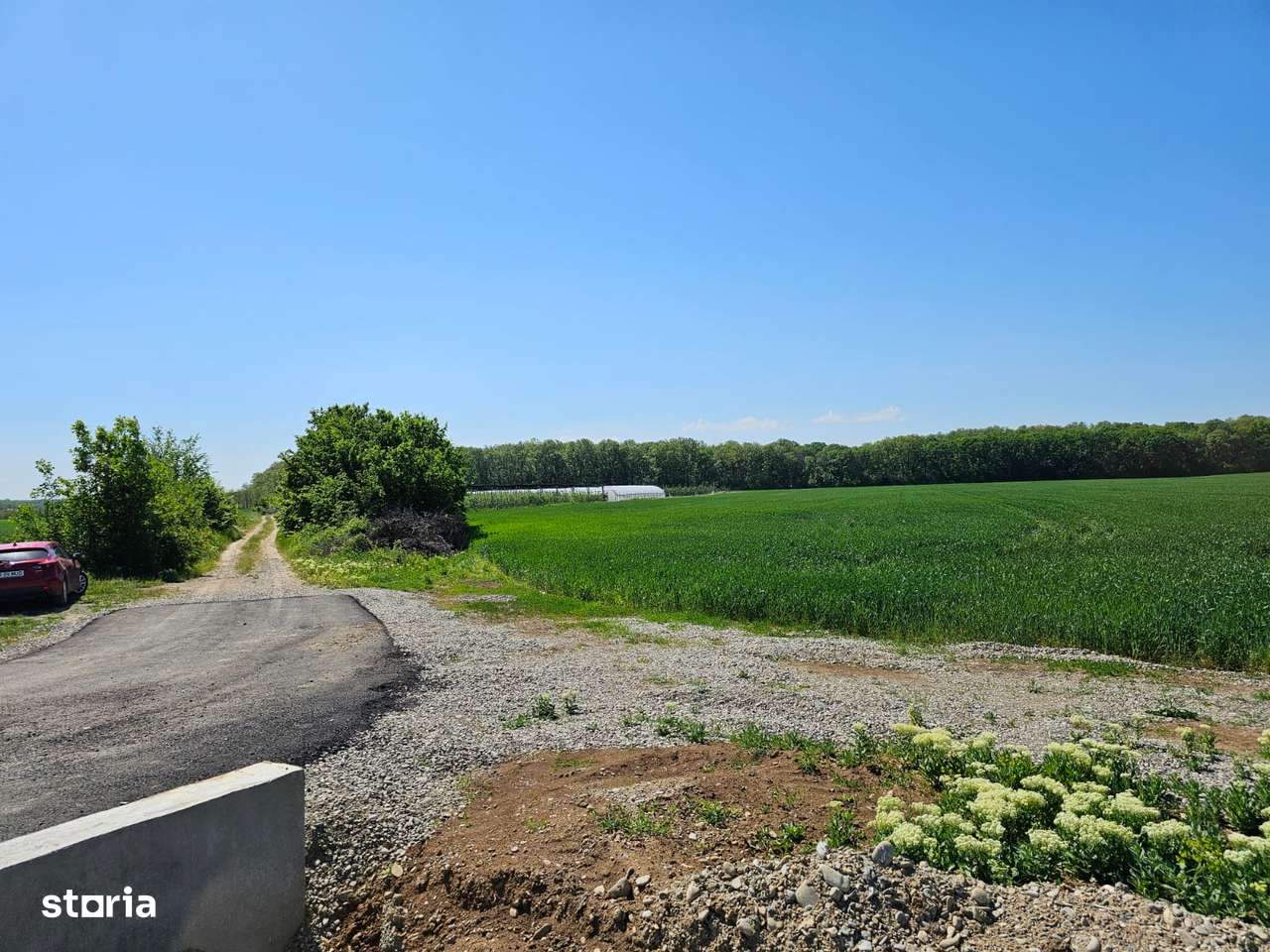 Scrovistea- Balteni, teren intravilan 17.714mp, langa padure-3