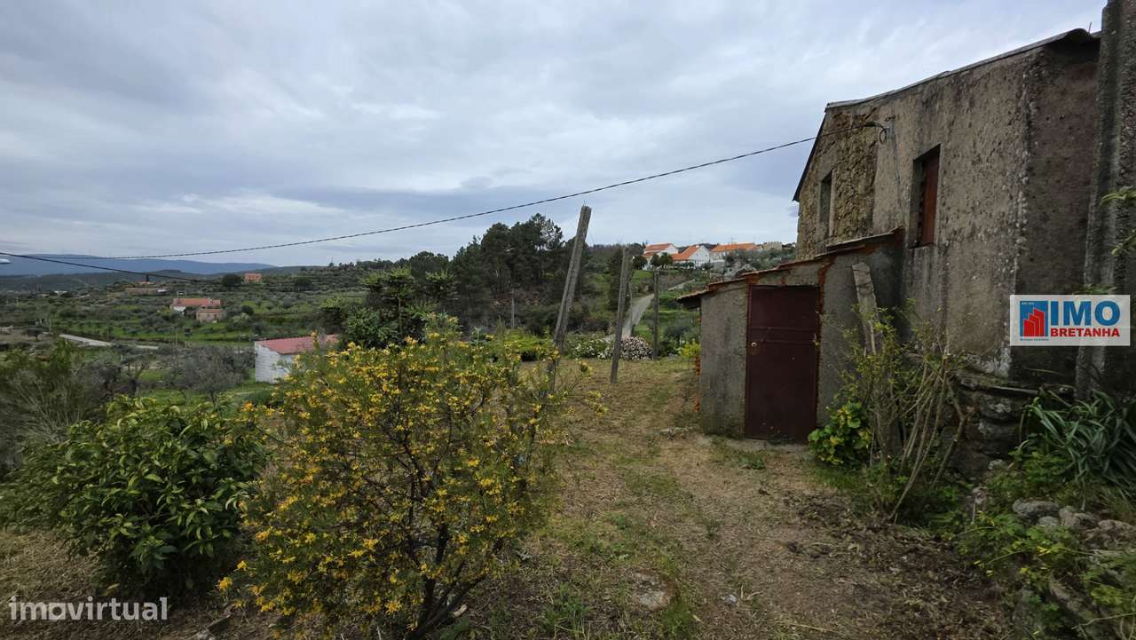 Quinta São Vicente da Beira com umas vistas fantásticas com 7280m2 - Grande imagem: 5/25