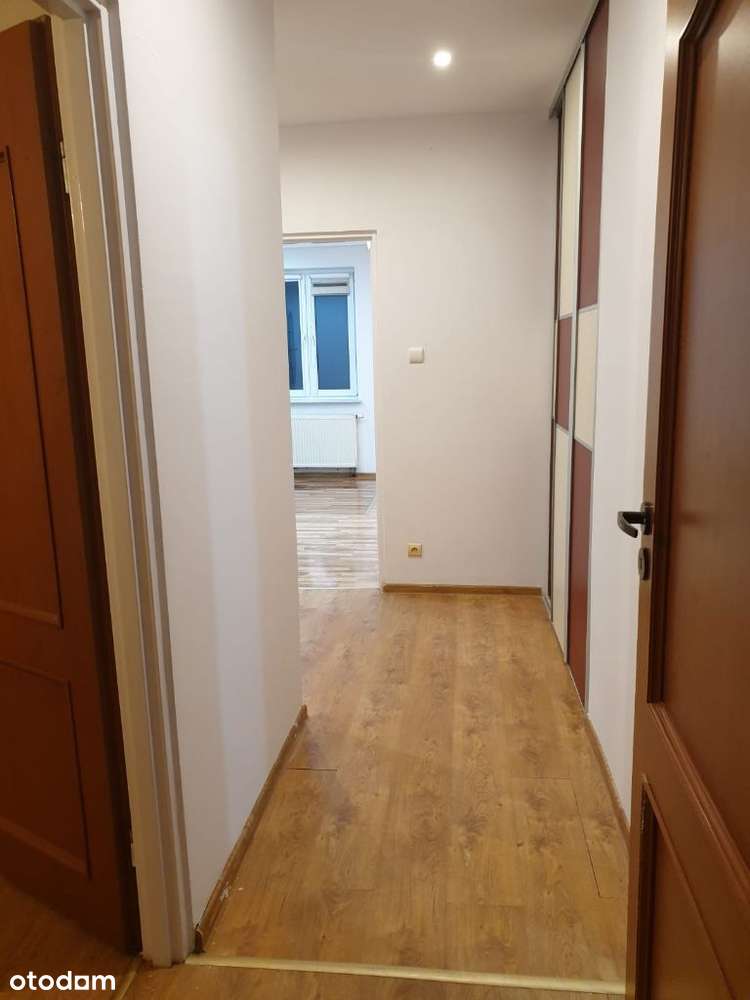 Mieszkanie + OGRÓDEK + TARAS - BEZ CZYNSZU również dla FIRM - Pełny obrazek: 2/12