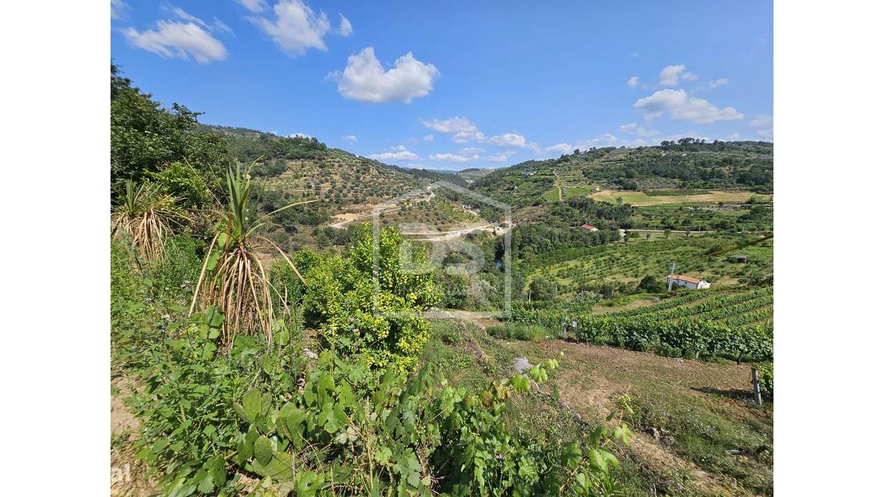 Quinta  Venda em Várzea de Abrunhais,Lamego-8