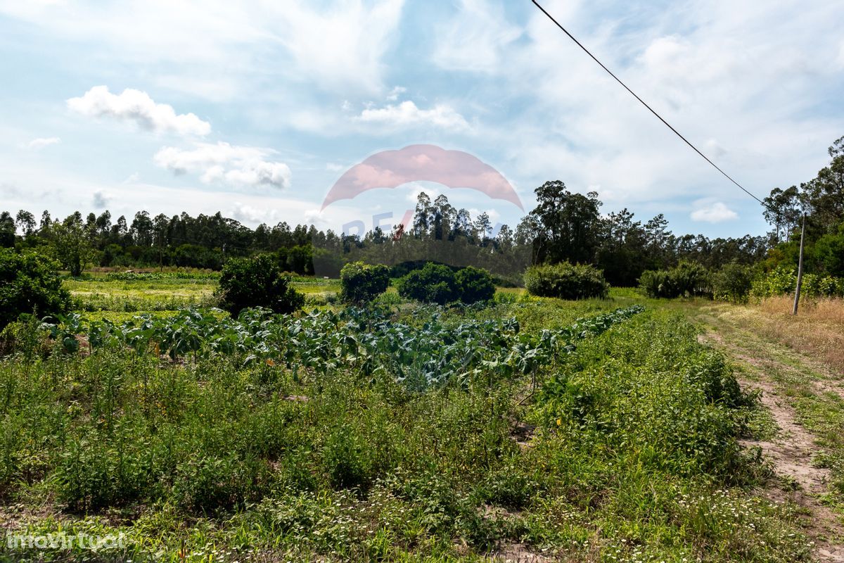 Terreno  para venda