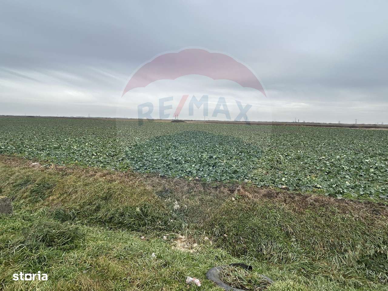 Teren intravilan 80500mp. aproape de nodul rutier de pe DX Oradea-Arad - Imagine principală: 4/10