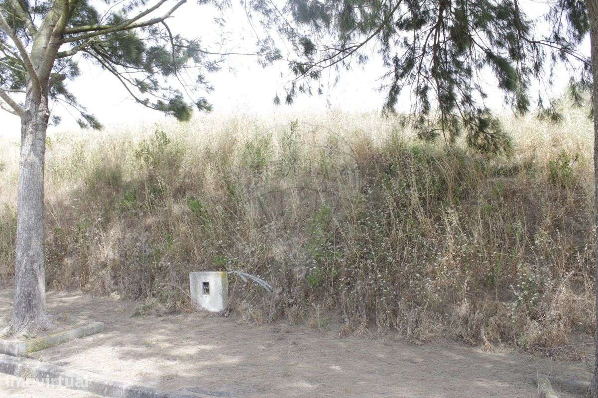 Terreno  para venda - Grande imagem: 4/5