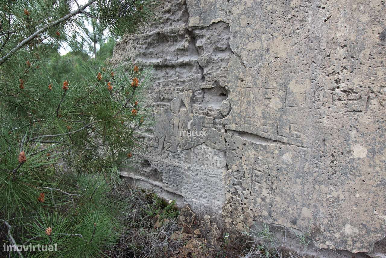 Herdade com 16,1500 ha, na zona da Lagoa de Melides, com viabilidade p - Grande imagem: 2/32