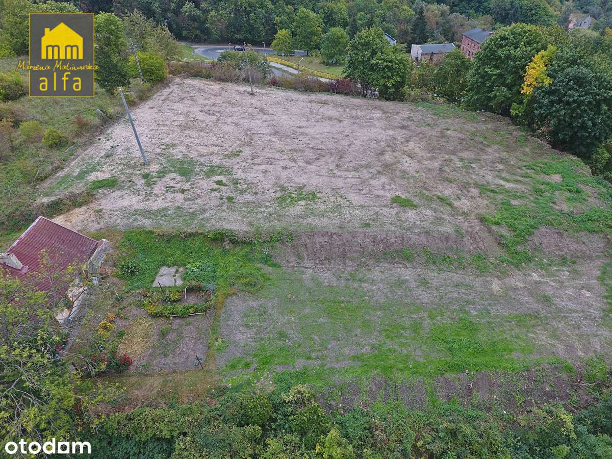 Nowe*Nowy Świat*Działka 3773m2*OD Zaraz-2