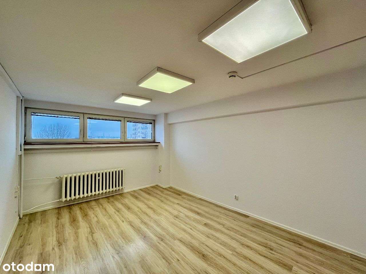 lokal biurowy ok. 20 m2, bezpośrednio - Pełny obrazek: 3/19