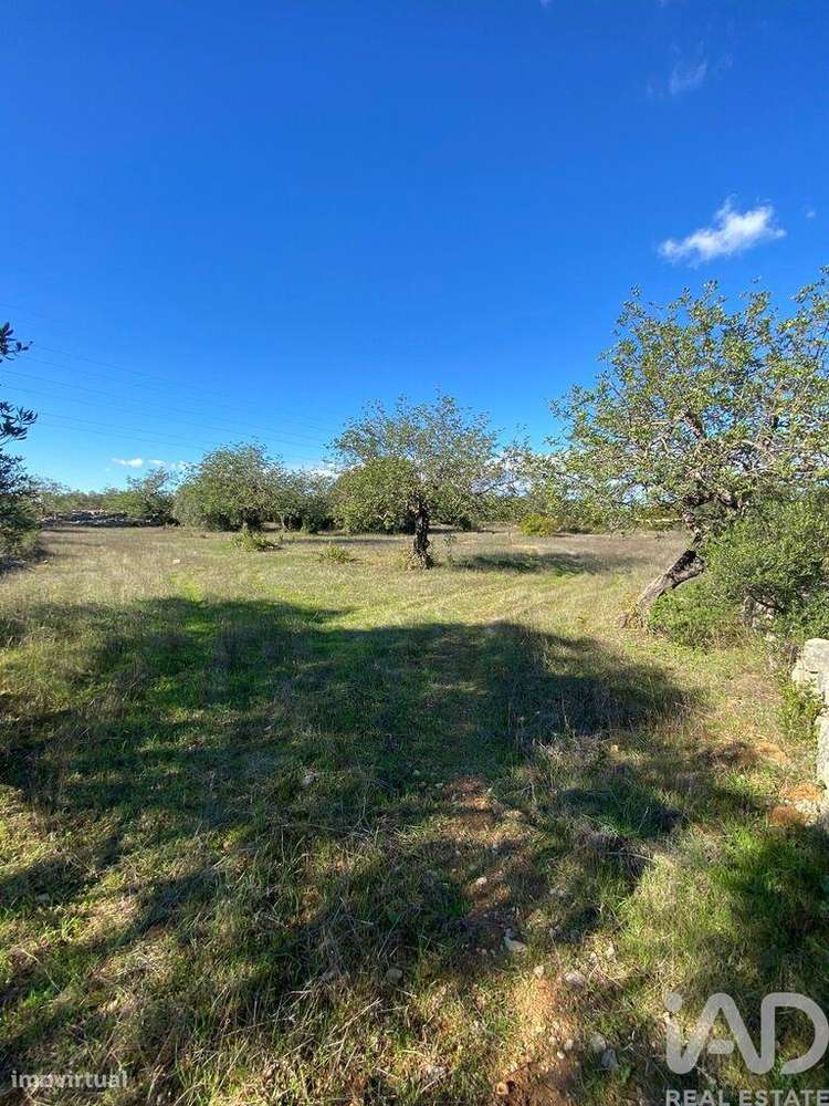 Terreno Agrícola em São Brás de Alportel de 7100,00 m2 - Grande imagem: 1/15