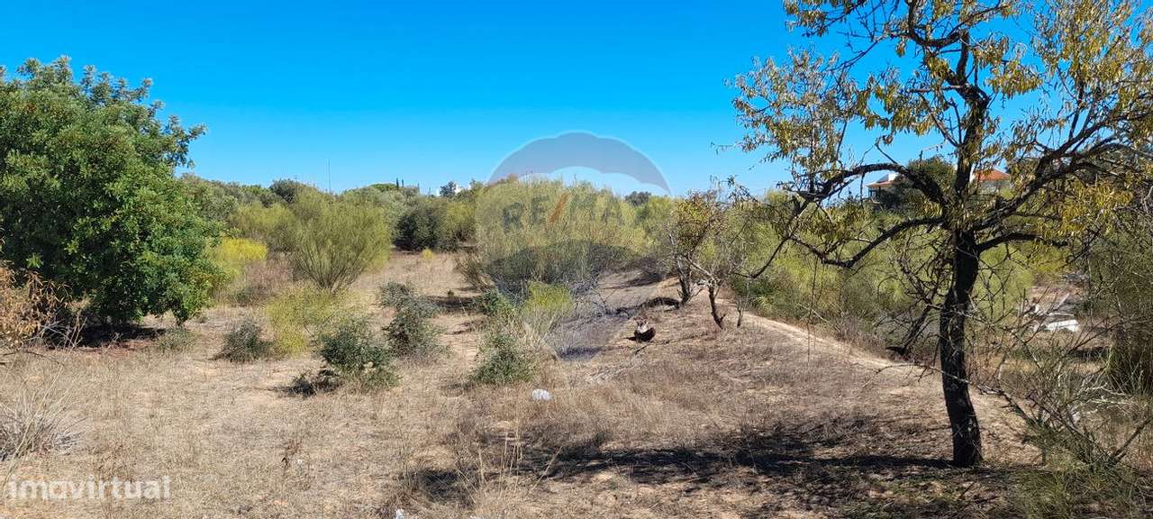 Terreno  para venda - Grande imagem: 2/8