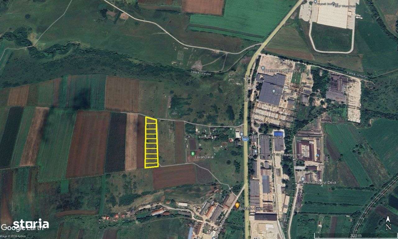 În RATE. Loturi de 100mp și 200mp Cristur la marginea satului zonă fru - Imagine principală: 4/4