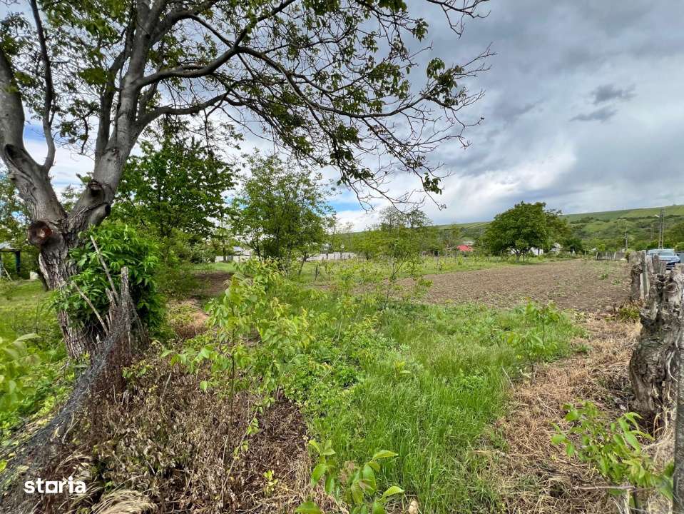 Casa + teren 4430 mp, vie si pomi fructiferi, 22 km de Tecuci-8