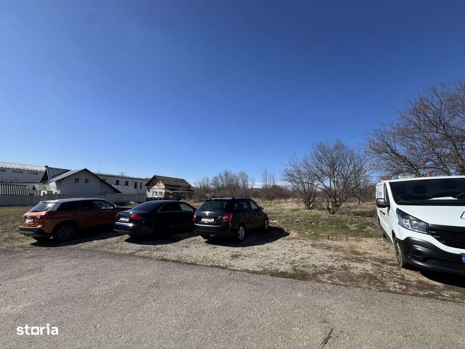 Cel mai bun teren din Paulesti-6