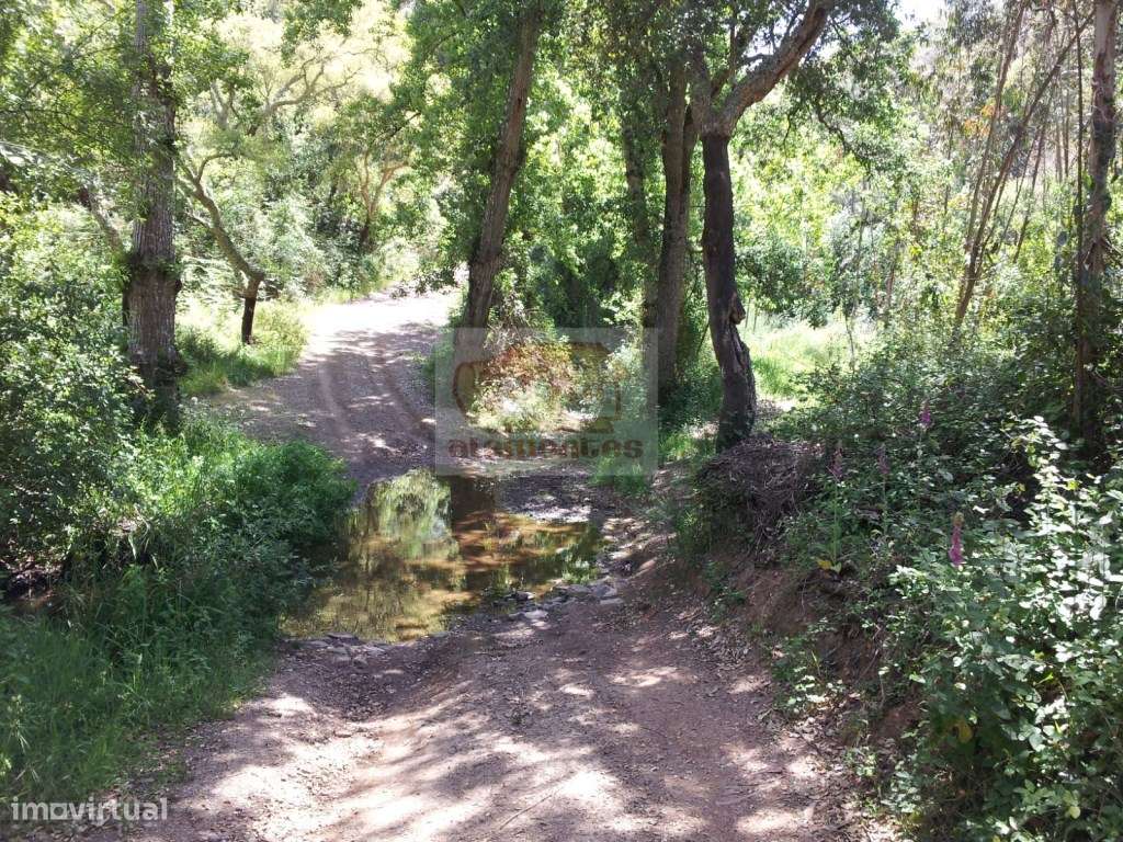 Terreno em São Francisco da Serra a 15 minutos da praia e da aldeia... - Grande imagem: 5/13