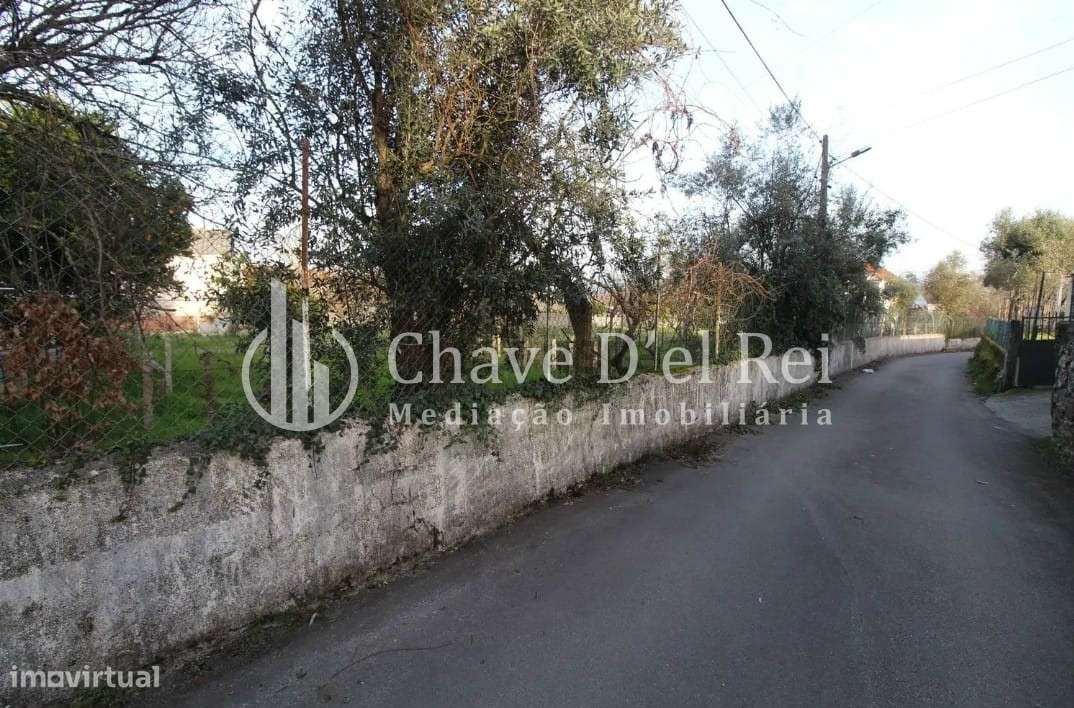 Terreno Rústico  Venda em Rio de Loba,Viseu - Grande imagem: 2/5