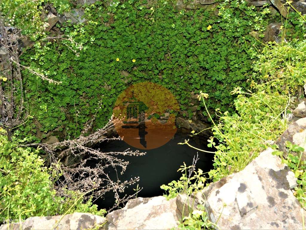 Terreno Rústico próximo de Santa Catarina da Fonte do Bispo - Grande imagem: 4/15