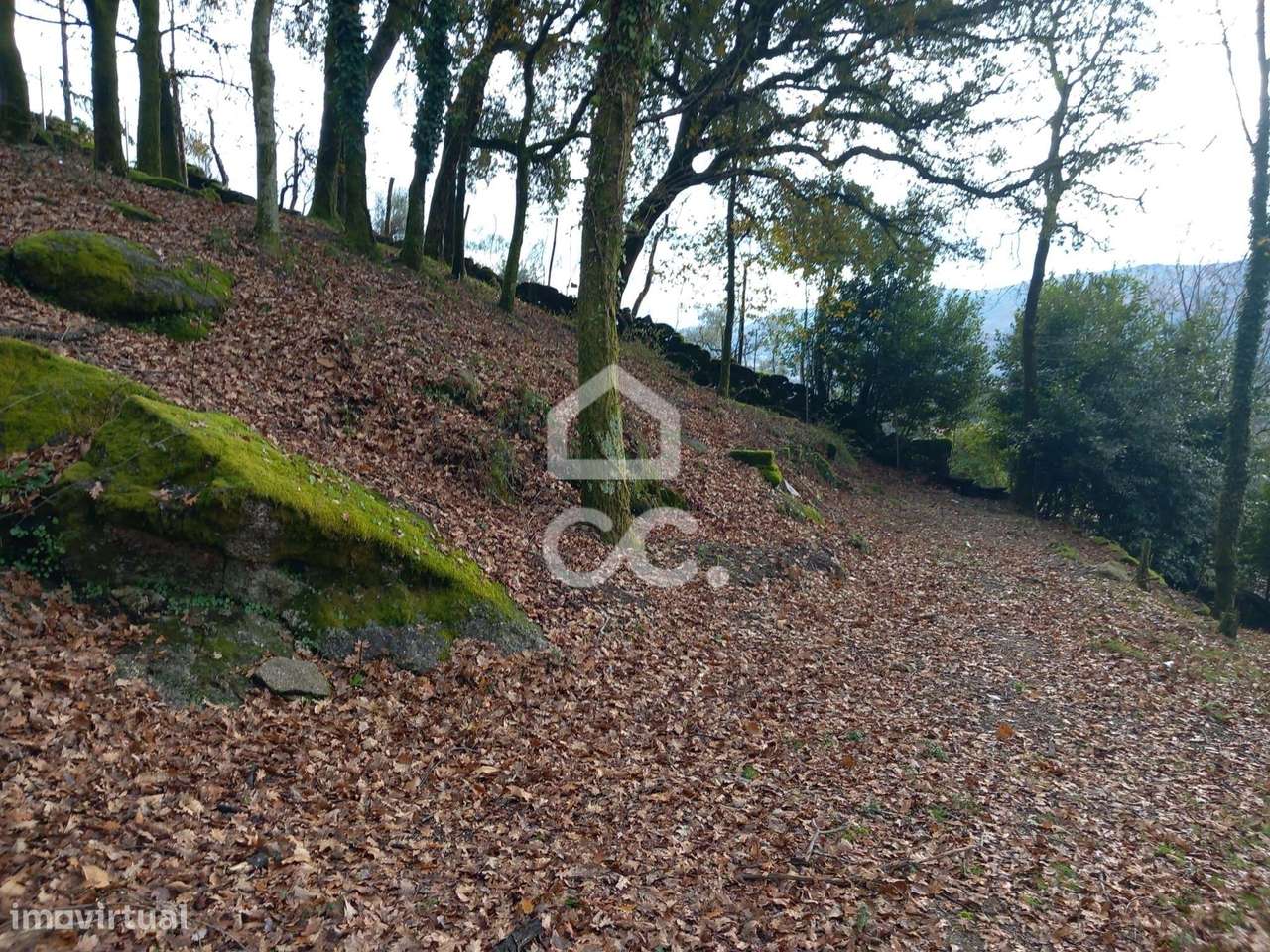 Quinta à venda em Rossas, Vieira do Minho-21