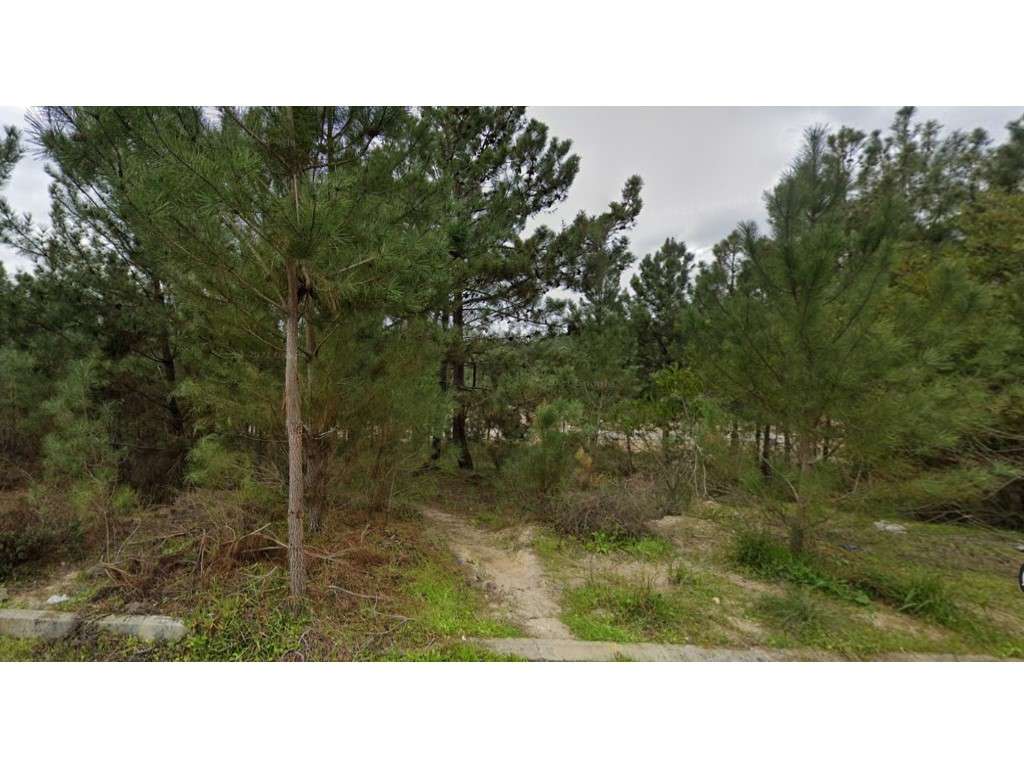 Terreno a Venda para construção de 2 moradias em Pinhal do General - Grande imagem: 4/4