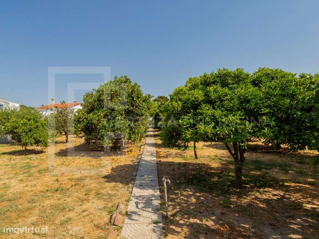 Oportunidade única em Cabanas - Quinta do Anjo, Palmela-29