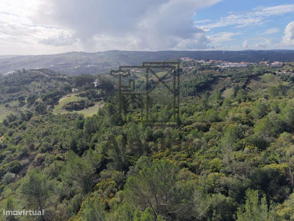 Oportunidade Única de Investimento Agrícola em Alenquer-10