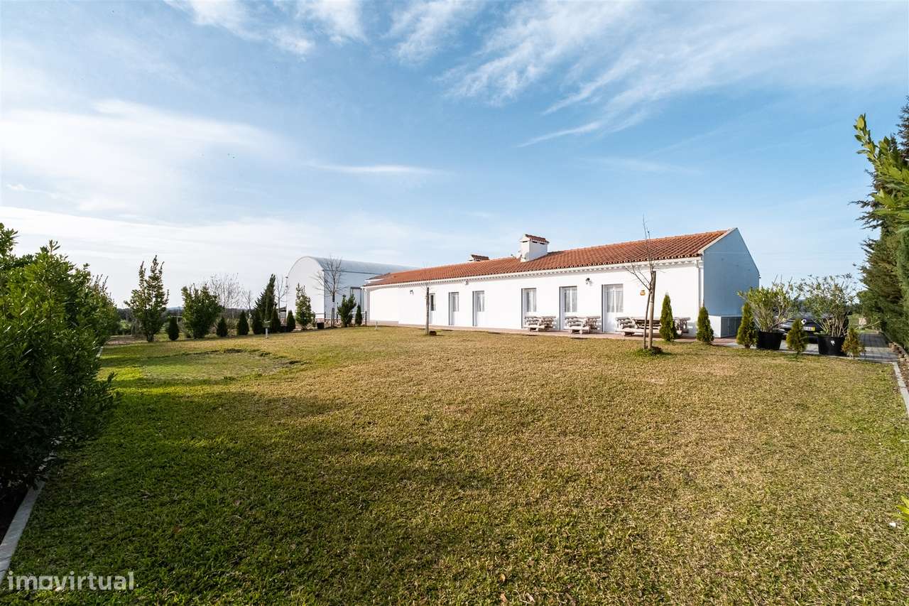 Quinta Biológica - Monte de Palma em Sao Manços com negócio.-51