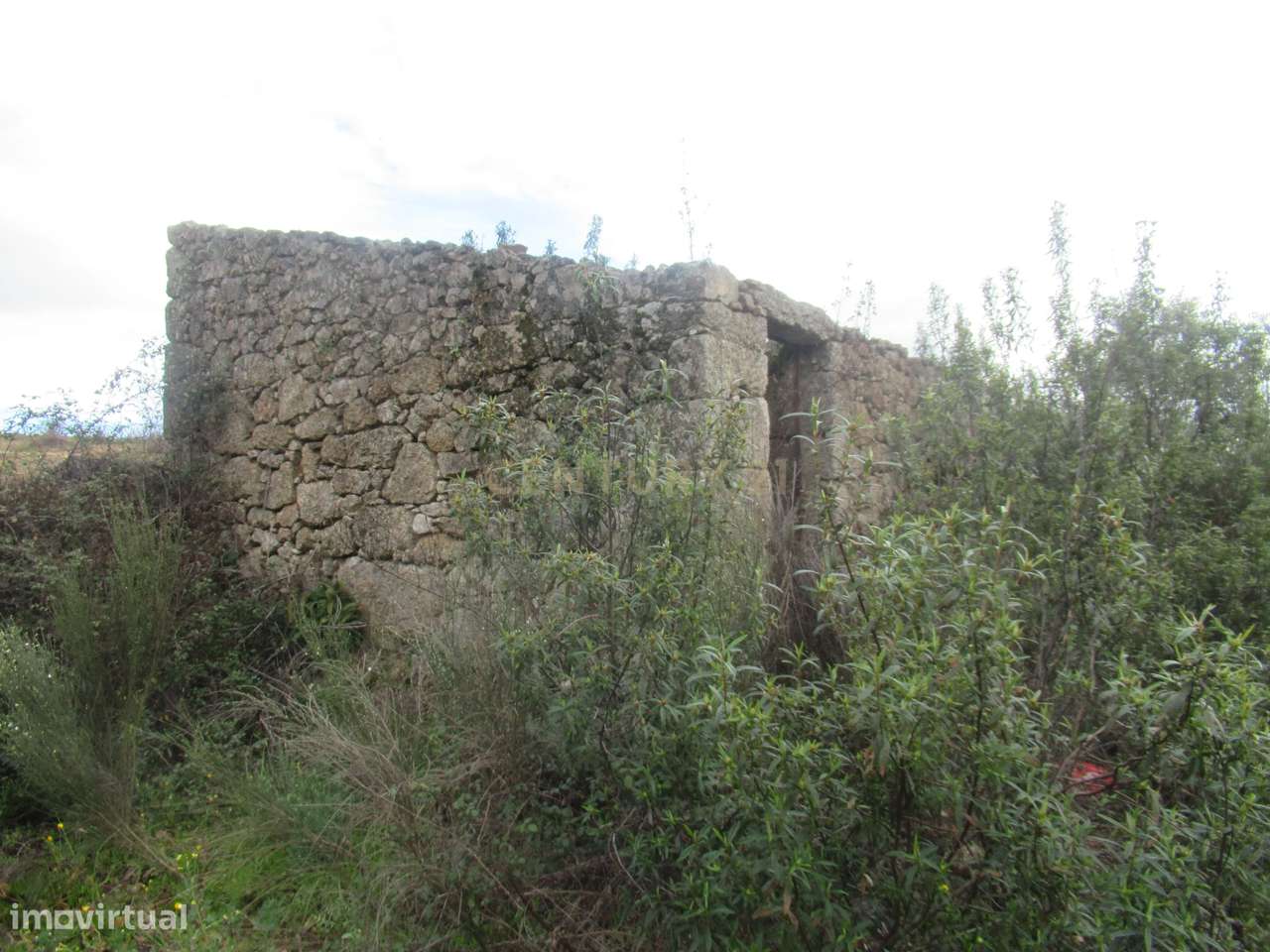 Terreno Rústico | Ninho do Açor/Sobral do Campo, Castelo Branco - Grande imagem: 4/22