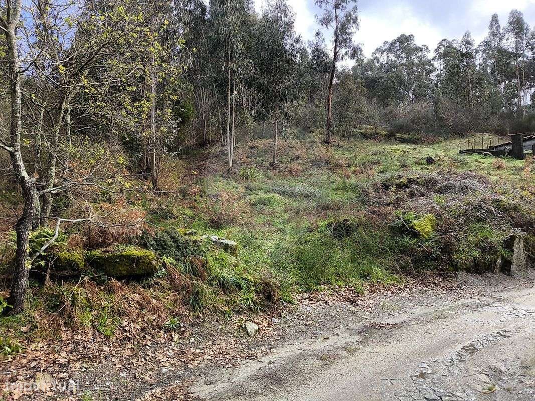 Terreno  para venda - Grande imagem: 3/11