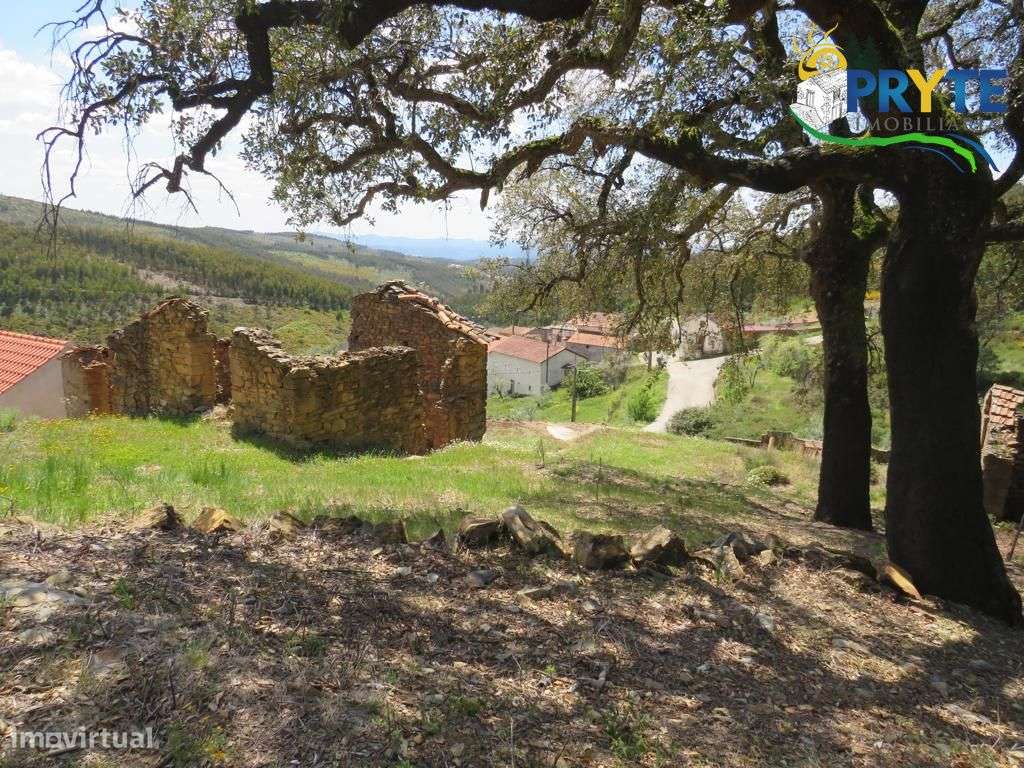 Ruína com pequeno logradouro a 15 minutos da Vila da Sertã - Grande imagem: 5/31