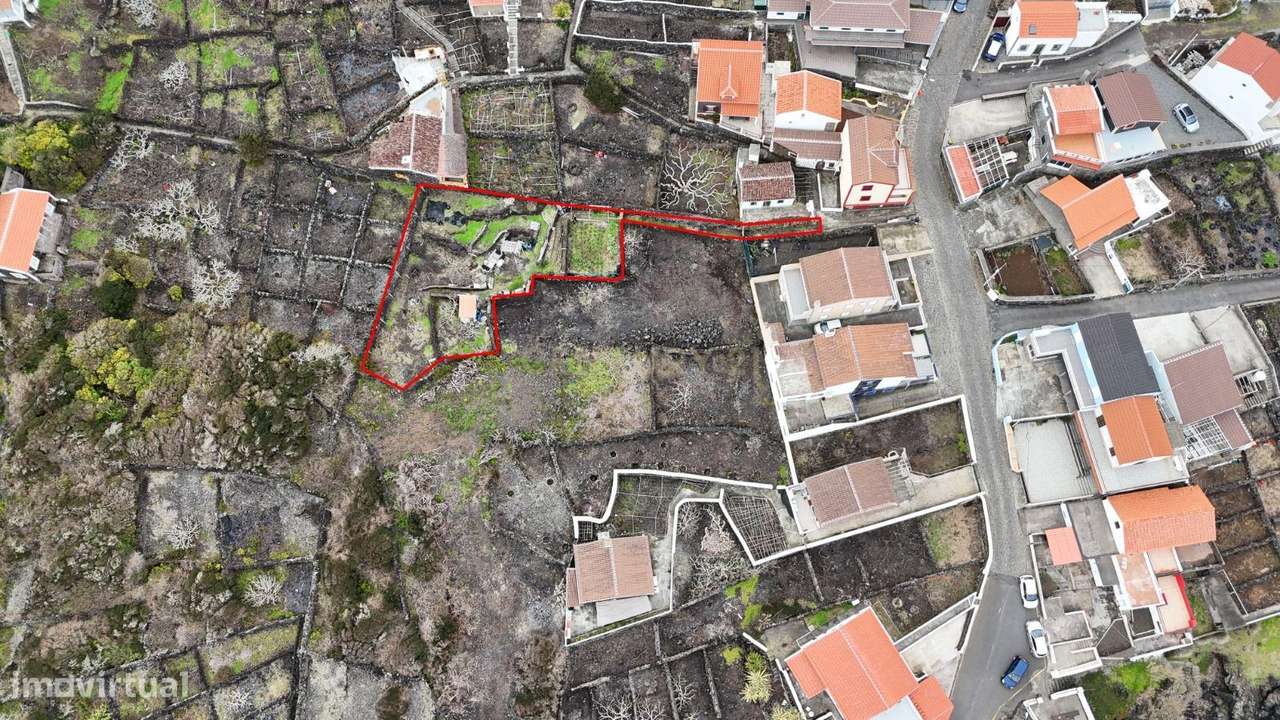 Terreno com Frutais e Horta na Ilha Terceira - 55.000€ - Grande imagem: 2/6