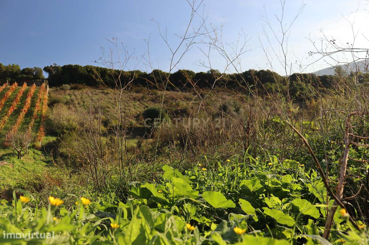 Terreno urbano com casa em ruína na Bemposta, Bucelas-9