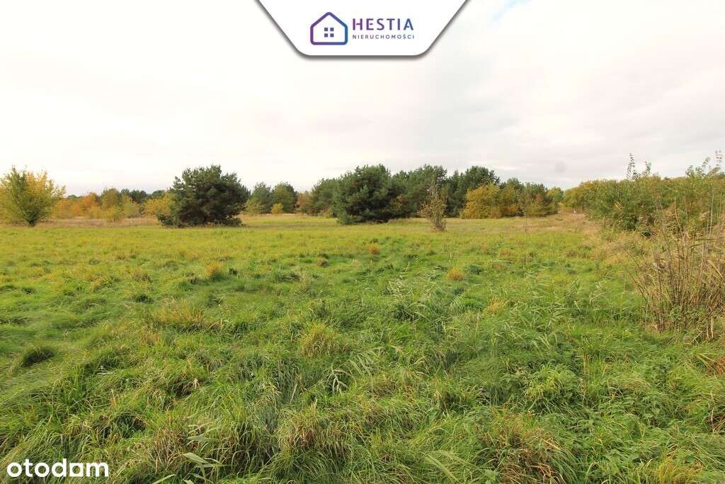 Duża działka z linią brzegową jeziora Miedwie - Pełny obrazek: 4/6