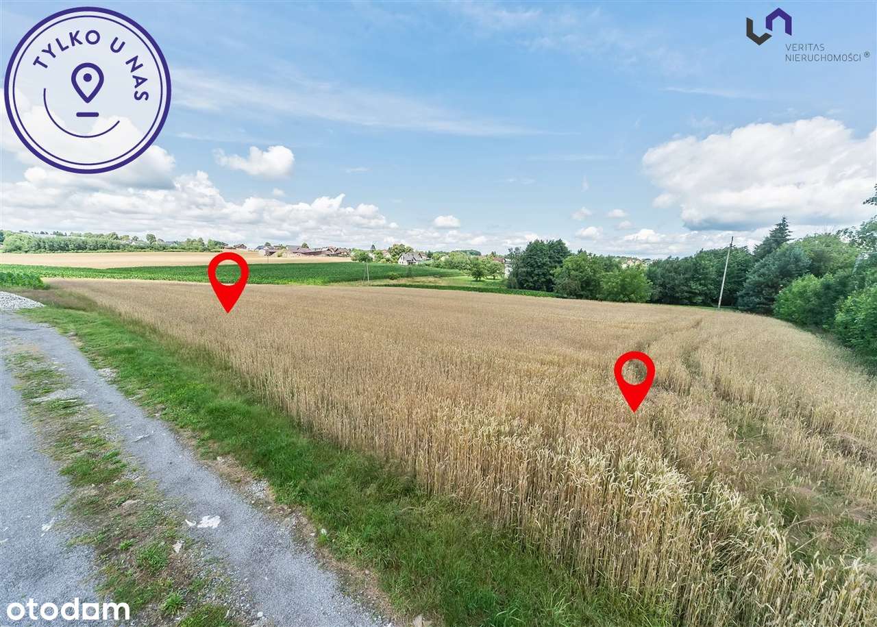 Płaska Działka W Dobrej Lokalizacji - Pełny obrazek: 5/9