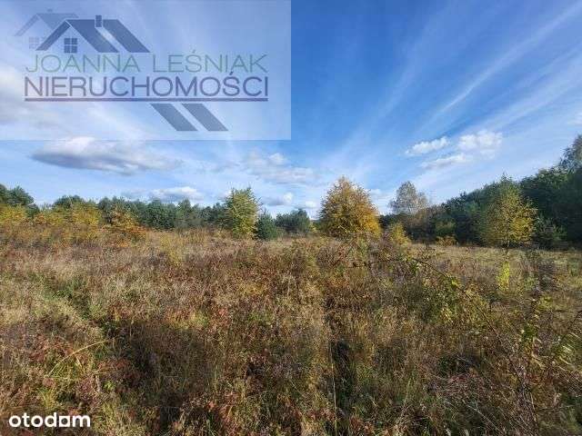 Działka, 8 080 m², Chechło - Pełny obrazek: 1/7