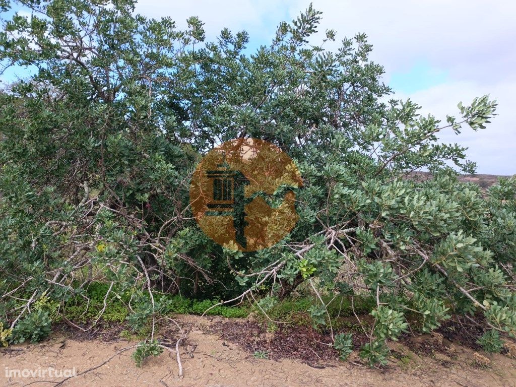 TERRENO RÚSTICO COM 3.800 M2 - PRÓXIMO AS ALCARIAS GRANDE...