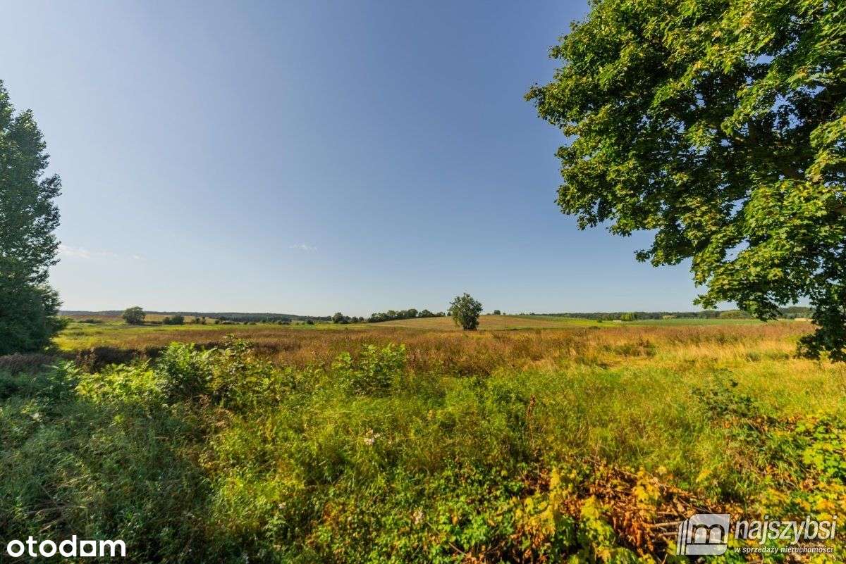 Stare Czarnowo- działka rolna z warunkami zabudowy - Pełny obrazek: 4/14