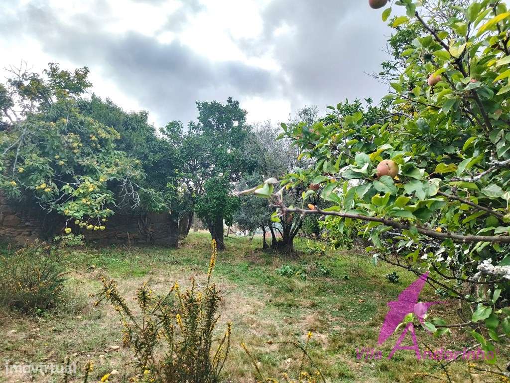Terreno com Anexo em Pedra em Samonde - Santa Marta de Portuzelo-2