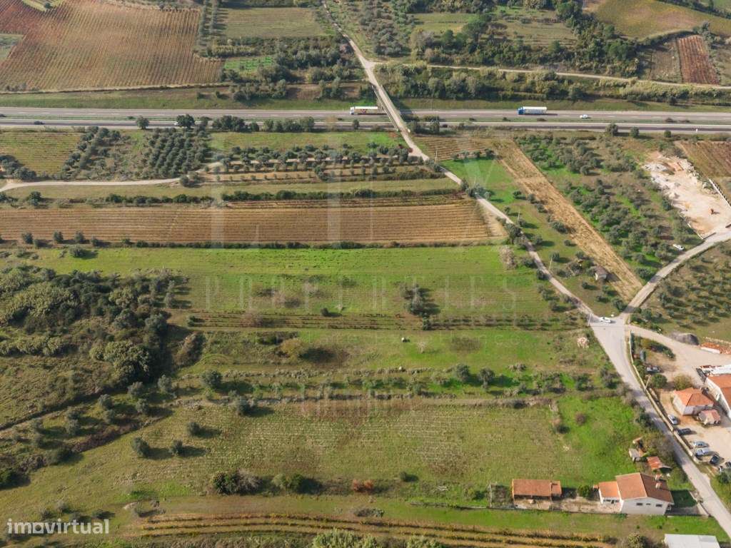 Terreno | Ventosa do Bairro, Mealhada-17