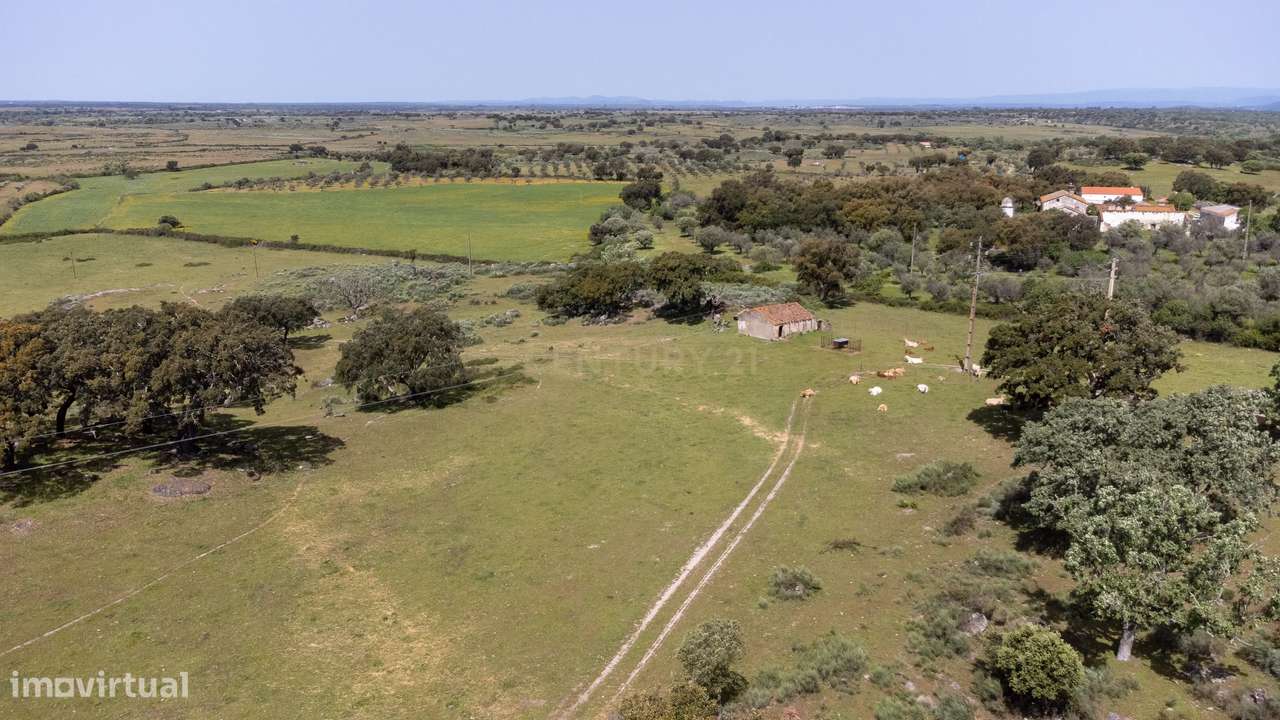 Herdade com 63 Hectares junto à Barragem de Póvoa e Meadas, Castelo de - Grande imagem: 5/41